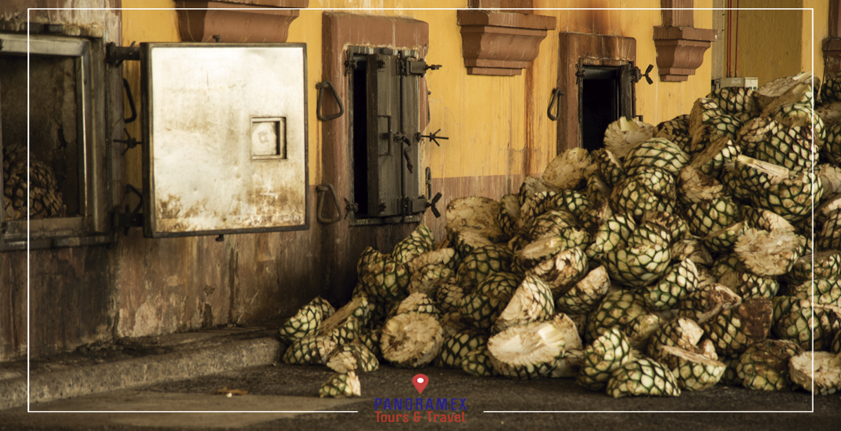 Tour a la Hacienda del Tequila Herradura