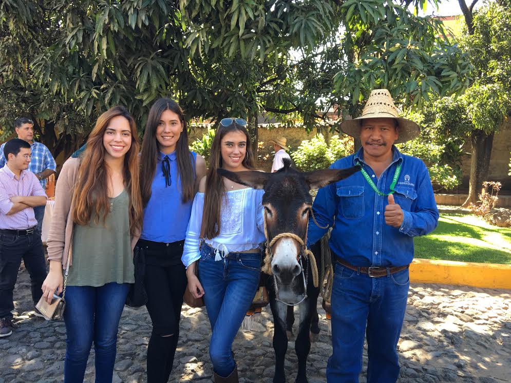 Tour a la Hacienda de Tequila Herradura